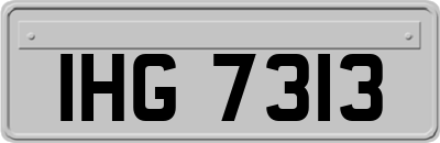 IHG7313