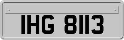 IHG8113