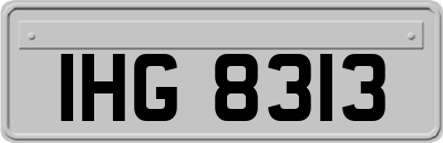 IHG8313
