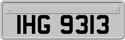 IHG9313