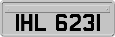 IHL6231