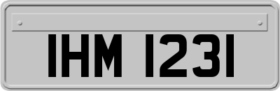 IHM1231