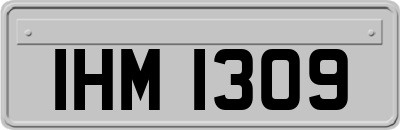 IHM1309