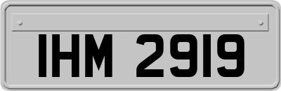IHM2919