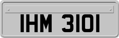 IHM3101