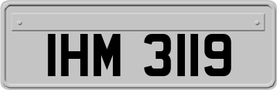 IHM3119