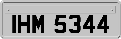 IHM5344