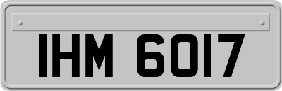 IHM6017
