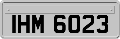 IHM6023