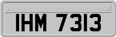 IHM7313