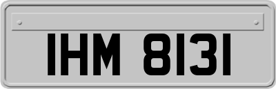 IHM8131