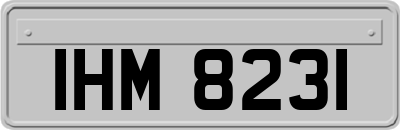 IHM8231