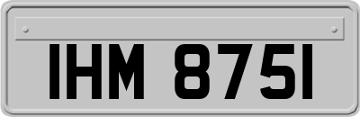 IHM8751