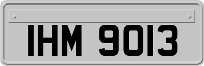 IHM9013