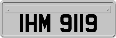 IHM9119