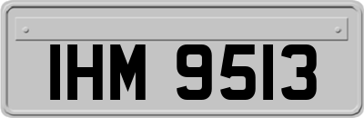 IHM9513