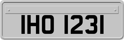 IHO1231