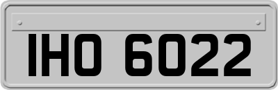 IHO6022
