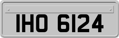 IHO6124