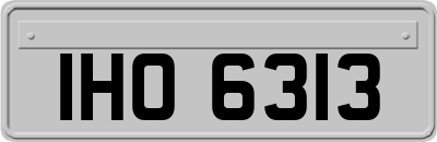 IHO6313