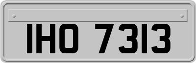 IHO7313