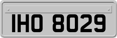IHO8029