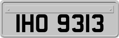 IHO9313