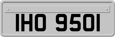 IHO9501