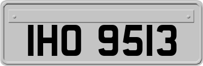 IHO9513