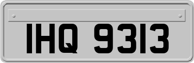 IHQ9313