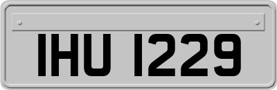 IHU1229