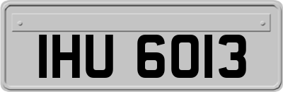IHU6013
