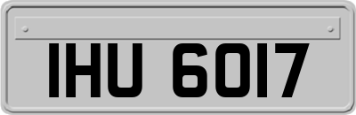 IHU6017