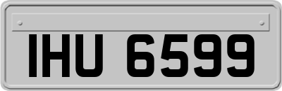 IHU6599