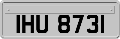 IHU8731