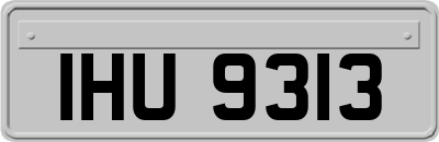 IHU9313