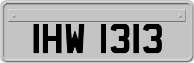 IHW1313