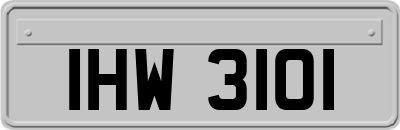 IHW3101