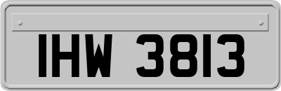 IHW3813