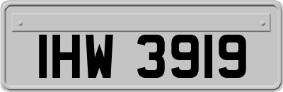 IHW3919