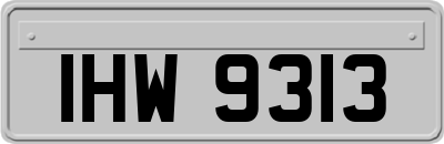 IHW9313