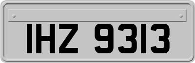 IHZ9313