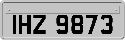 IHZ9873