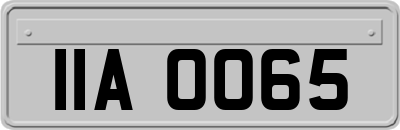 IIA0065