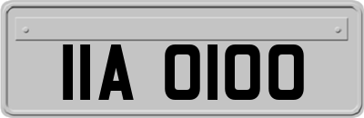 IIA0100