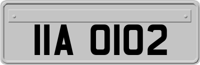 IIA0102