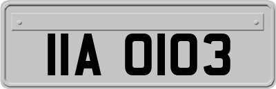 IIA0103
