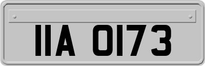 IIA0173