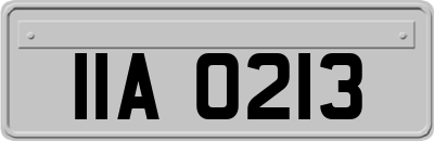 IIA0213