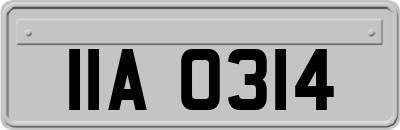 IIA0314